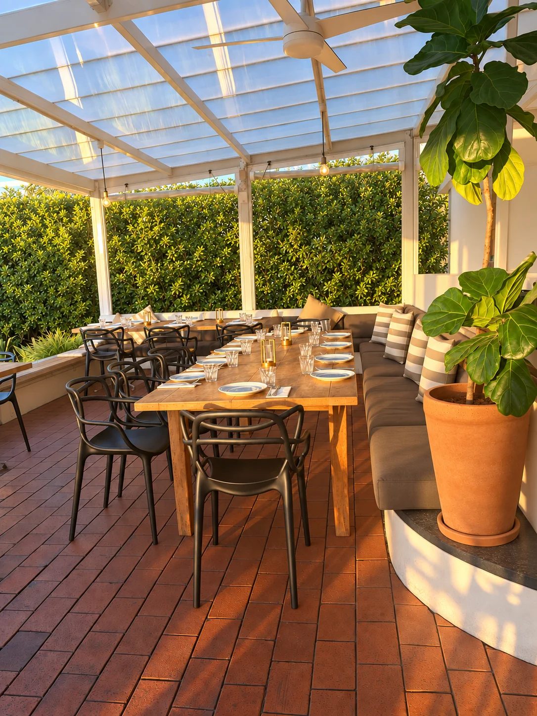 Sunlight on the empty long terrace table, striped cushions and terracotta planter